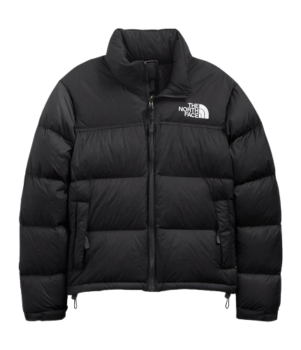 N0RTH FACE 700 PUFFER